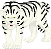 tigris