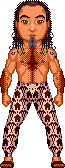 Felis 7