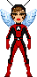 wasp